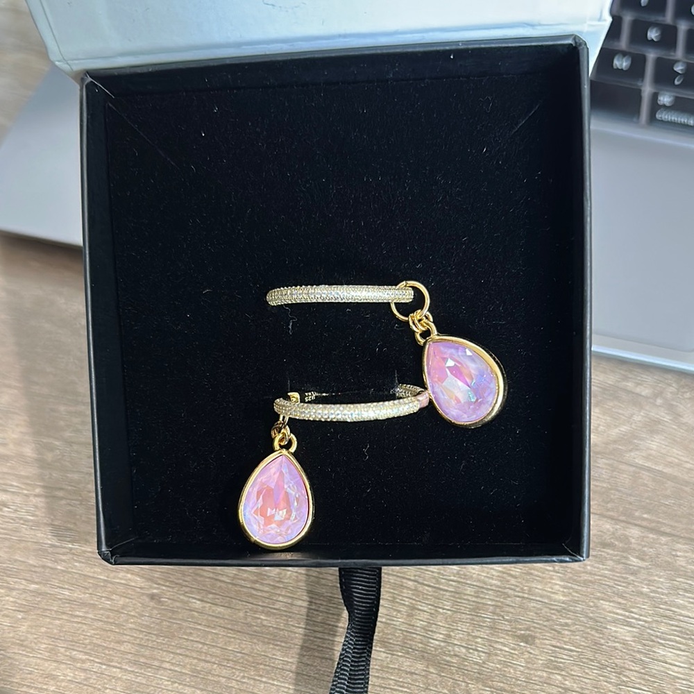 Mounser Hoop with Pink Teardrop Earrings